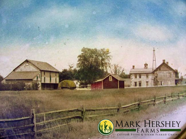 mark-hershey-farms-original-farm